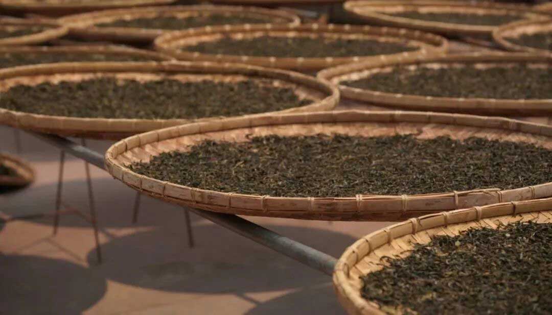 普洱茶能否独立于六大茶类之外